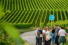 CIOmove-21-Tag-3_0865