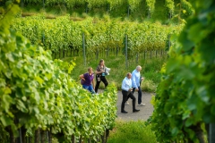 CIOmove-21-Tag-3_0918