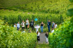 CIOmove-21-Tag-3_0940