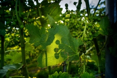 CIOmove-21-Tag-3_0968