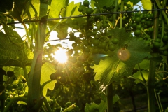 CIOmove-21-Tag-3_0971