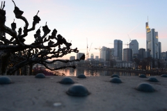 ciomove_network_tour2014_5549