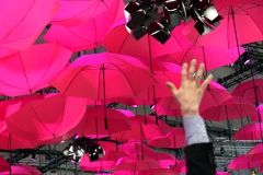 ciomove_network_tour2014_6578