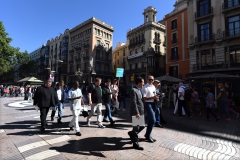 CIOmove_2017_3777